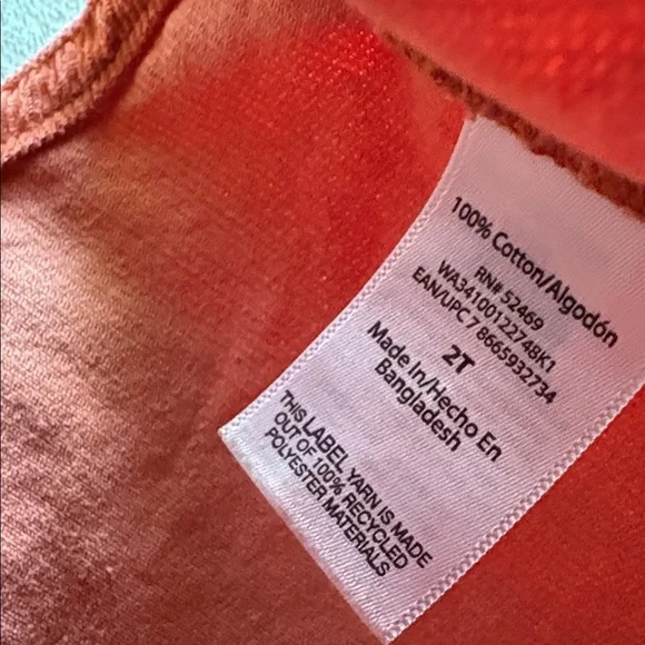 Girls fall/winter outfit size 2t - Picture 11 of 13